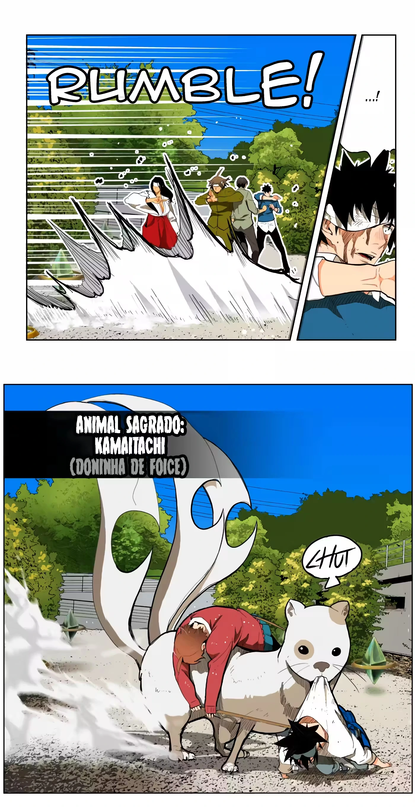 Página 7