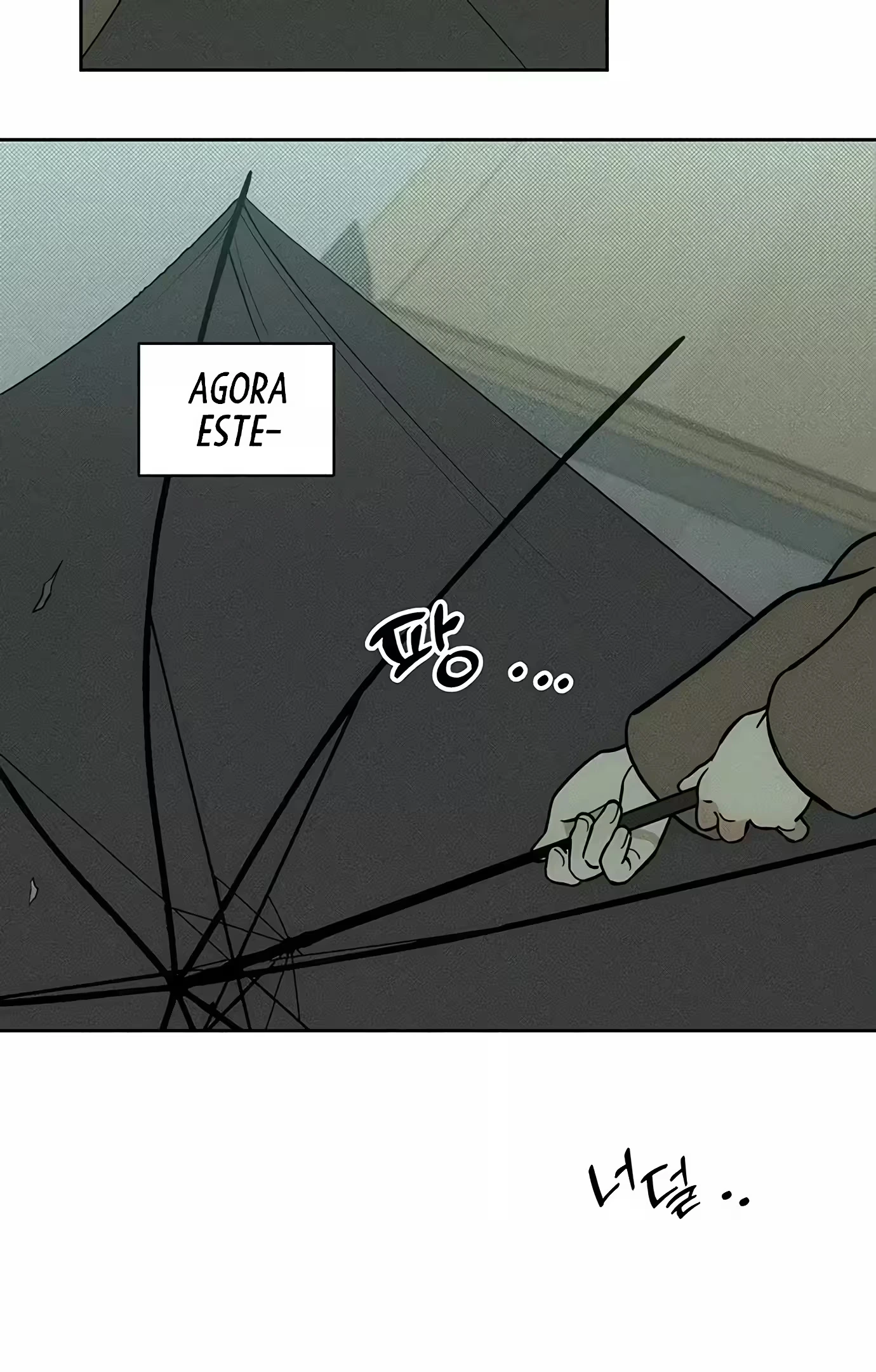 Página 91
