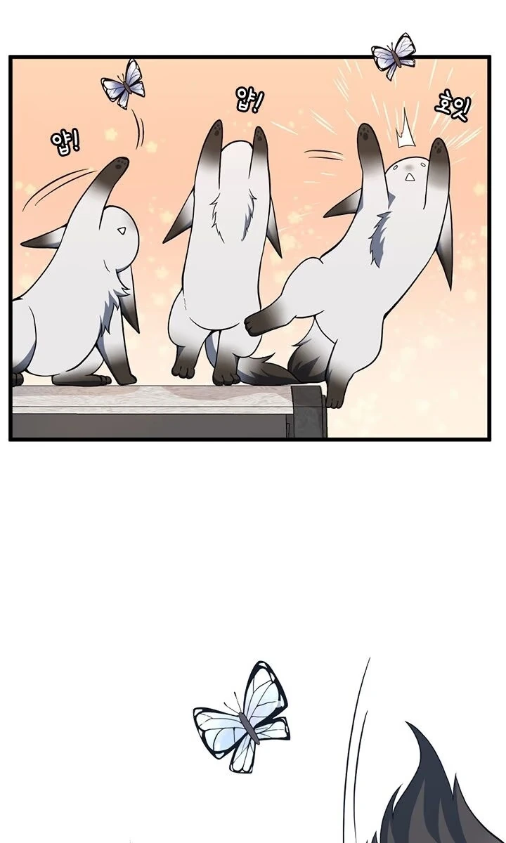 Página 77