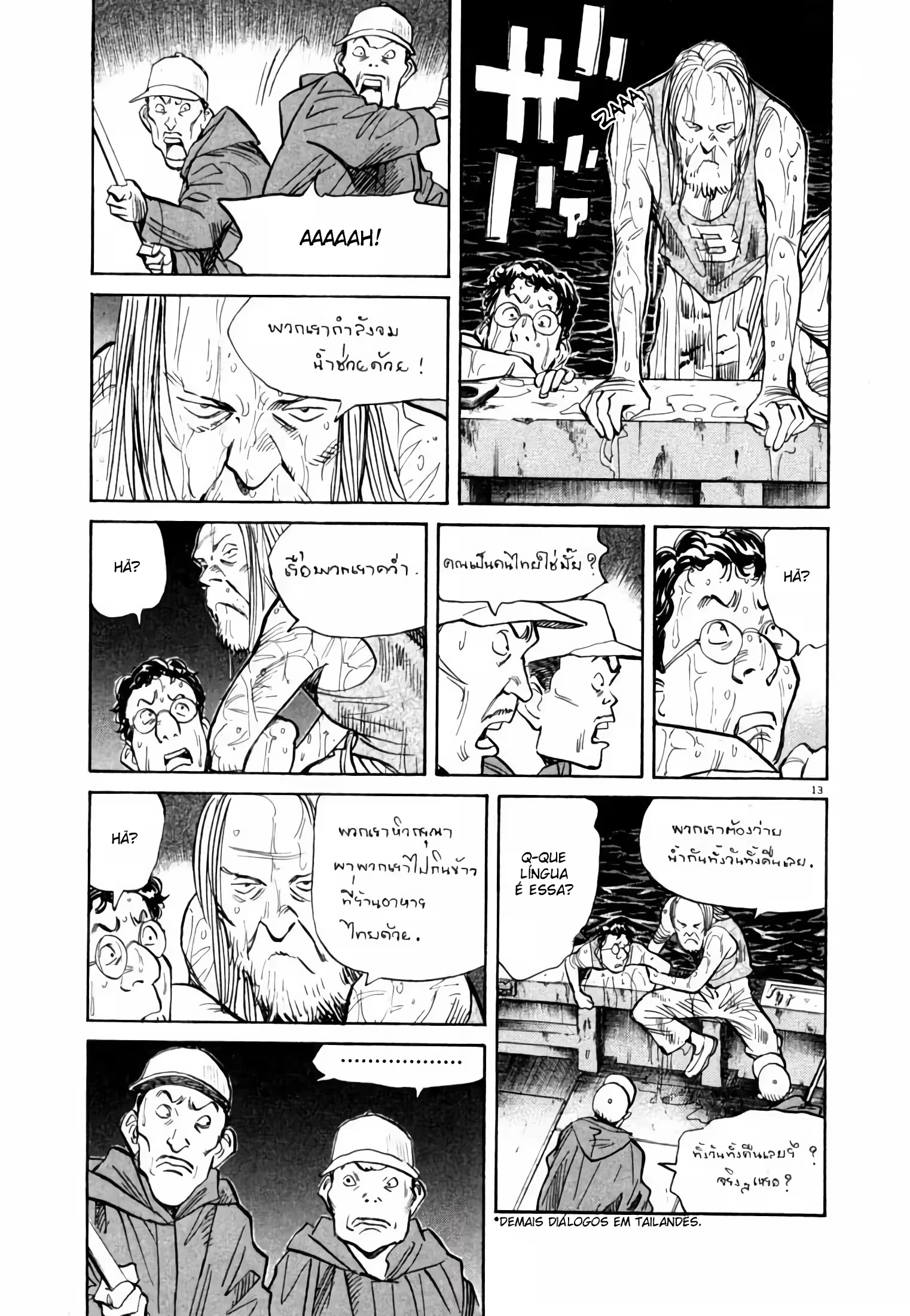 Página 13