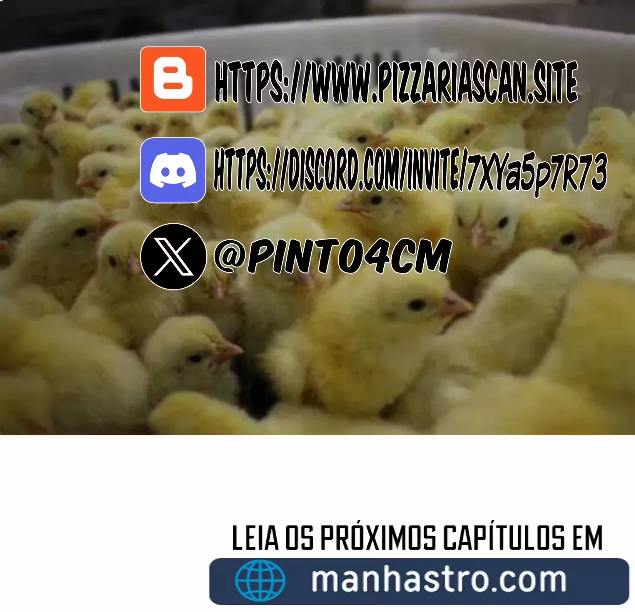 Página 19