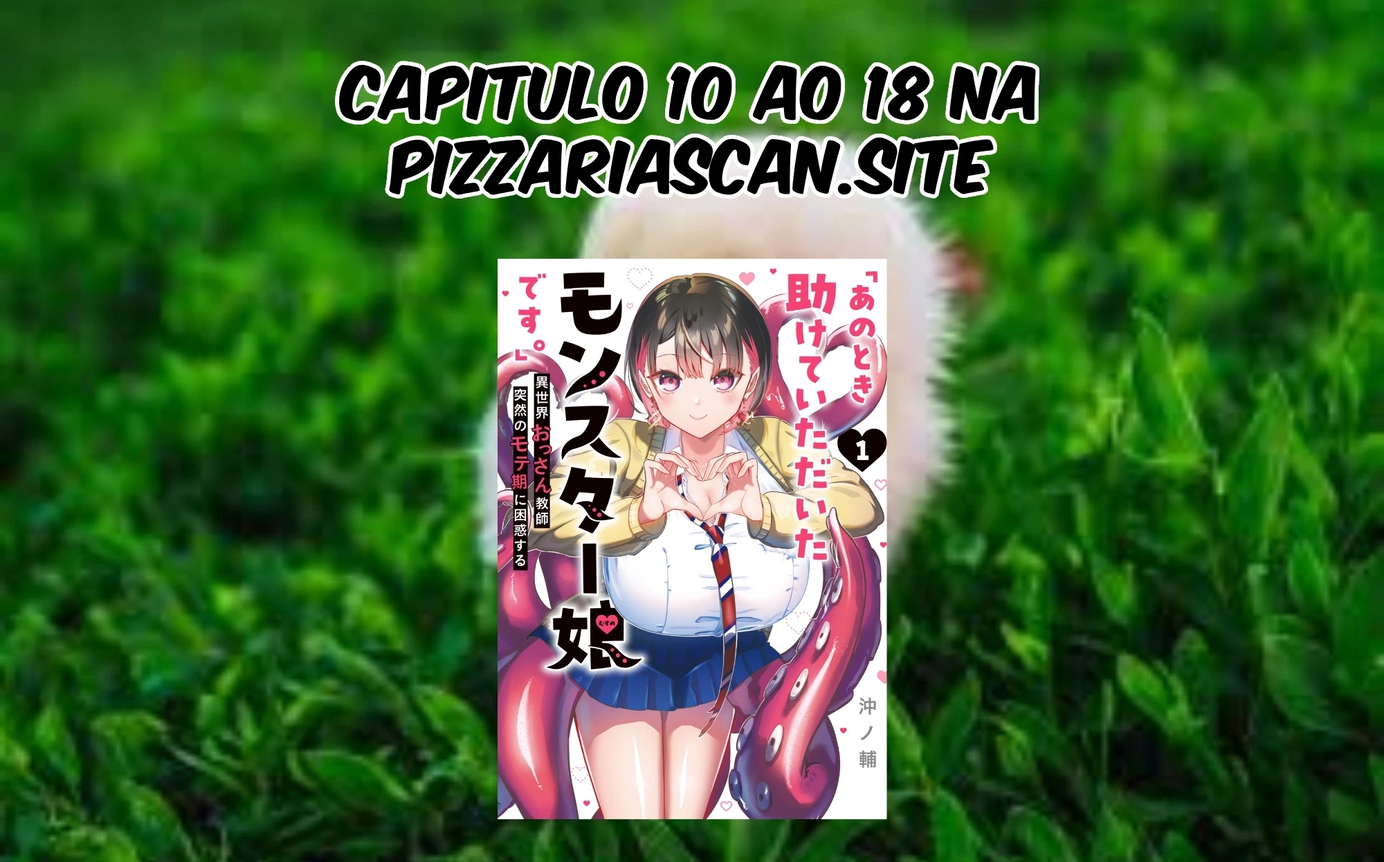 Página 19