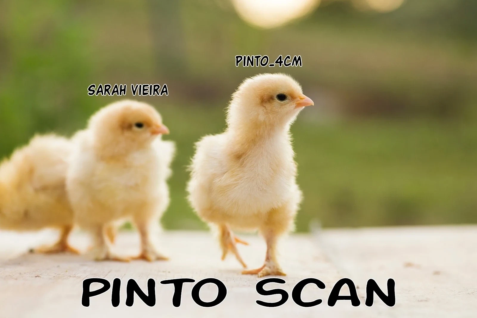 Página 1