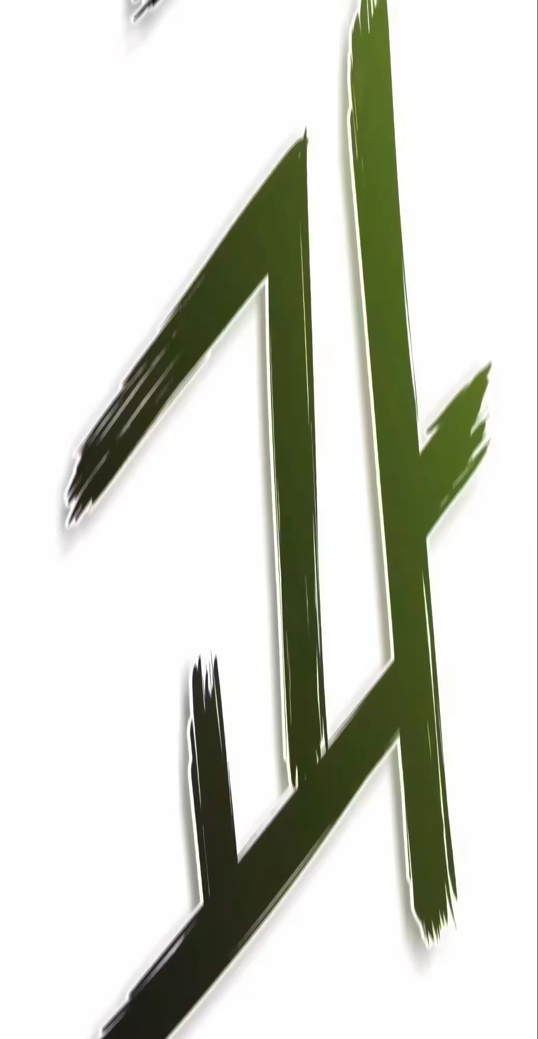 Página 81