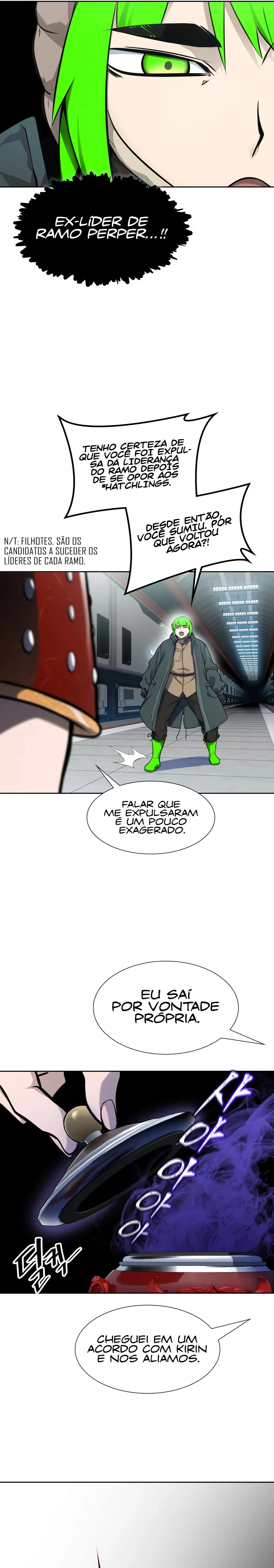 Página 31