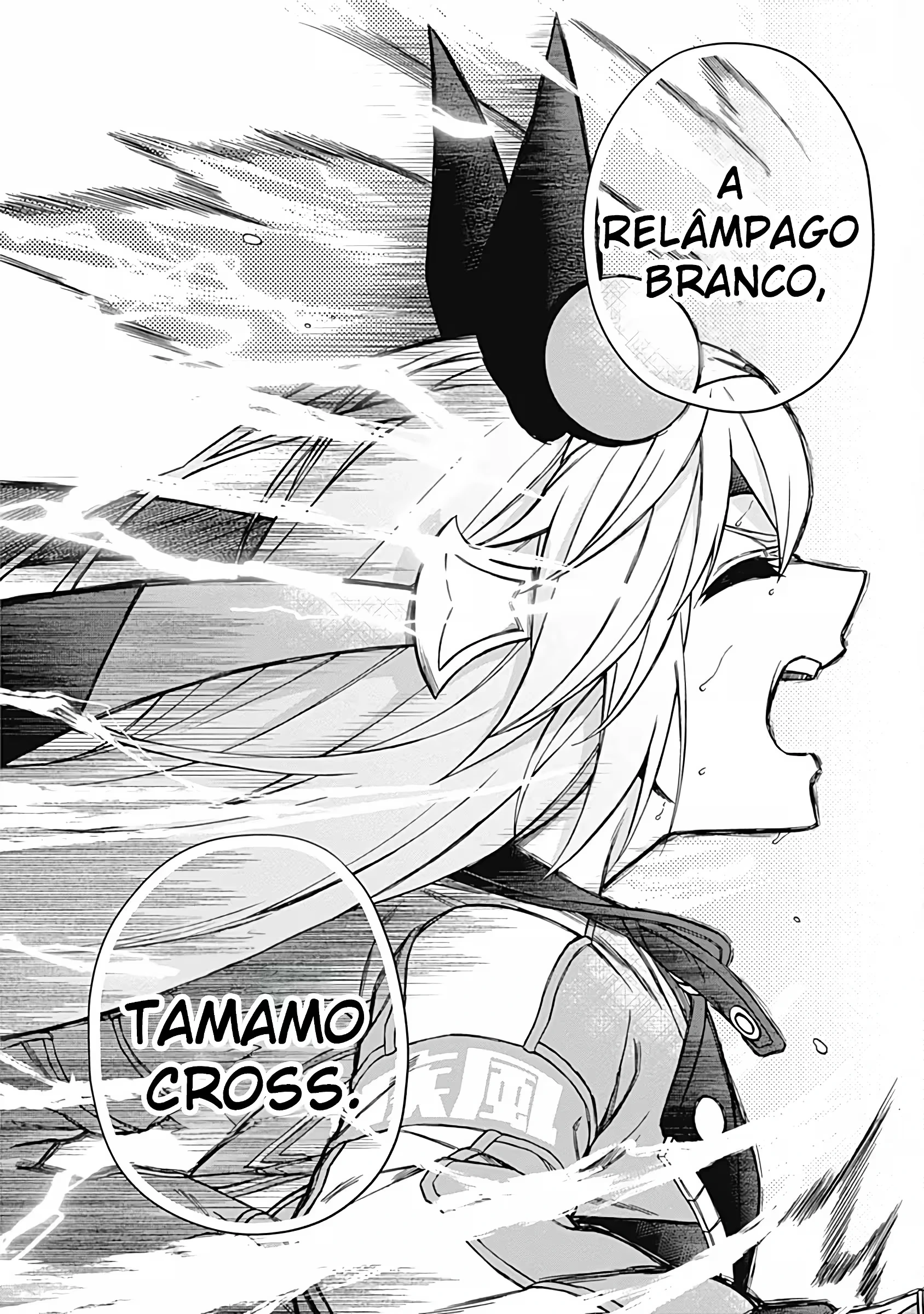 Página 17