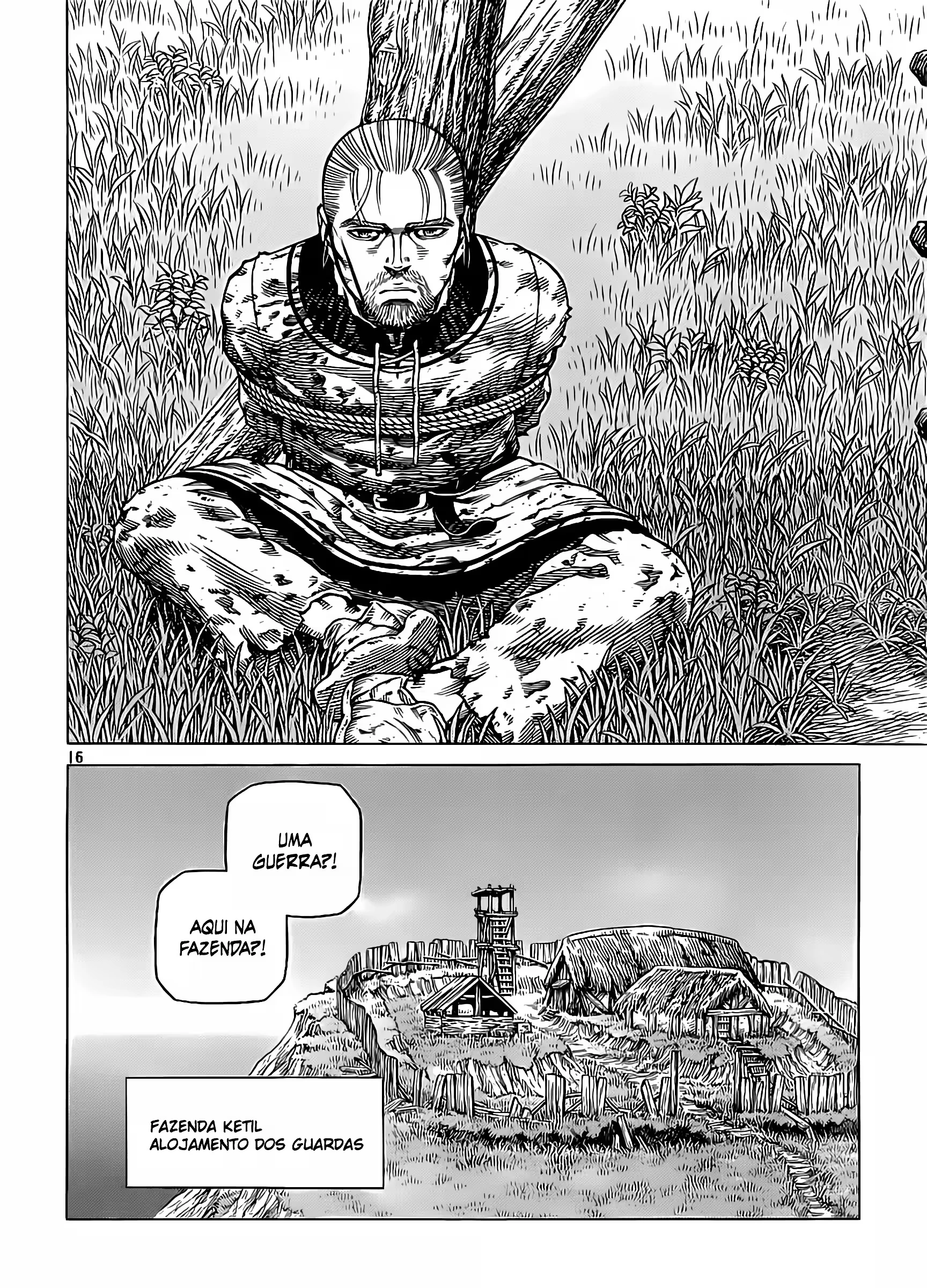 Página 17