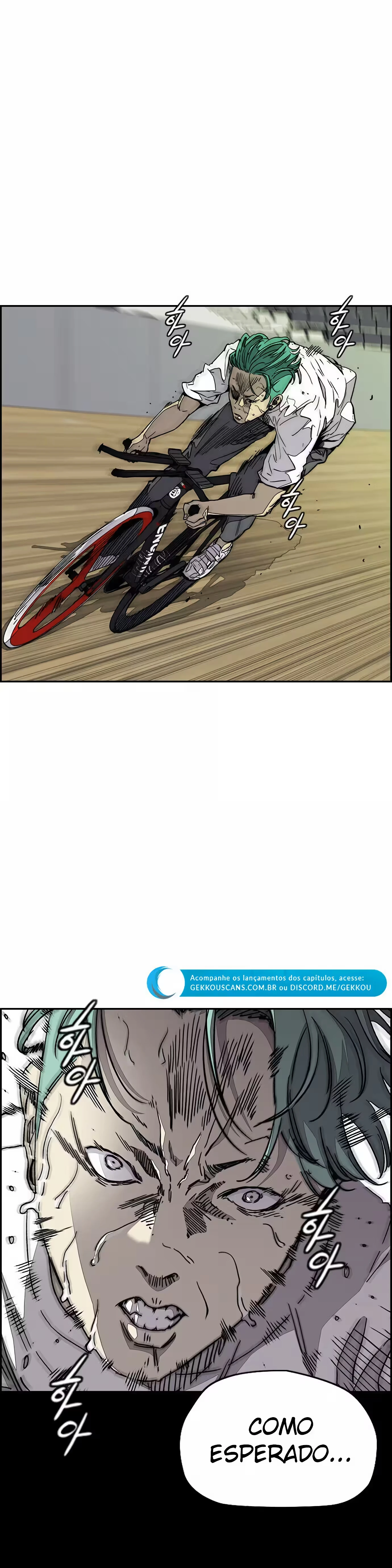 Página 17