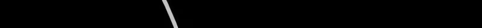 Página 117