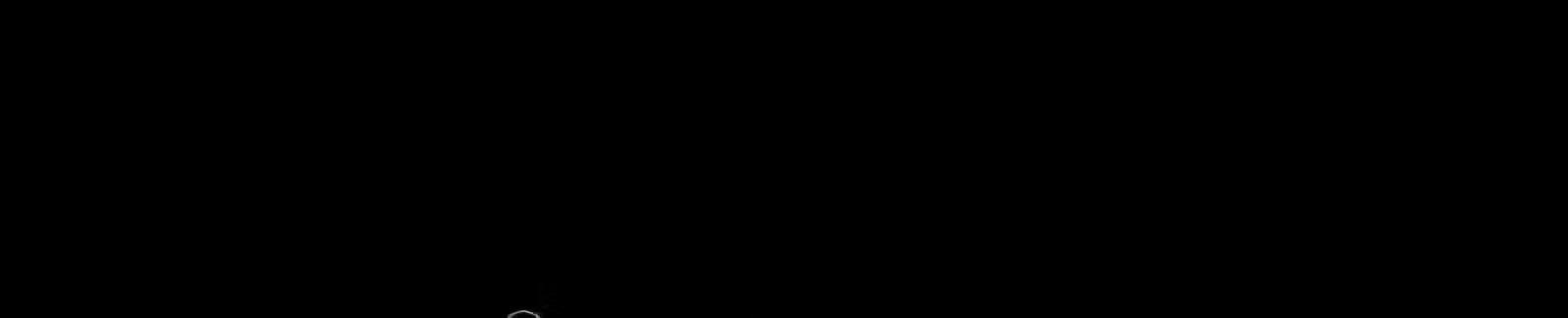 Página 283