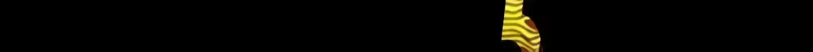 Página 533