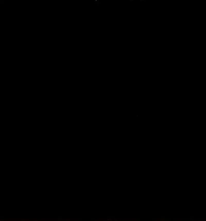 Página 256