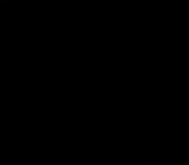 Página 294
