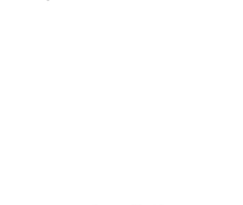 Página 306