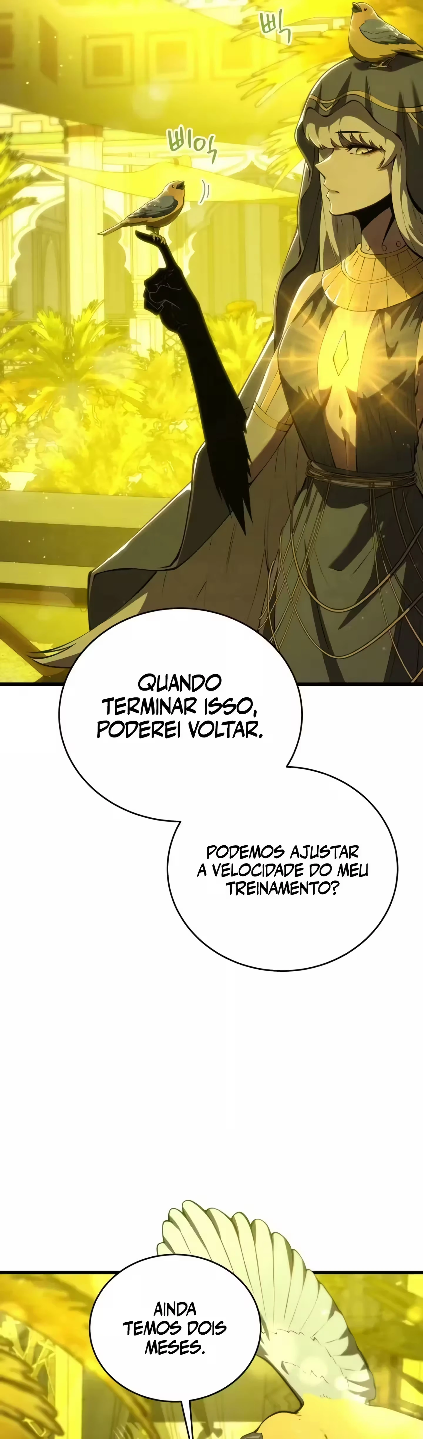 Página 43