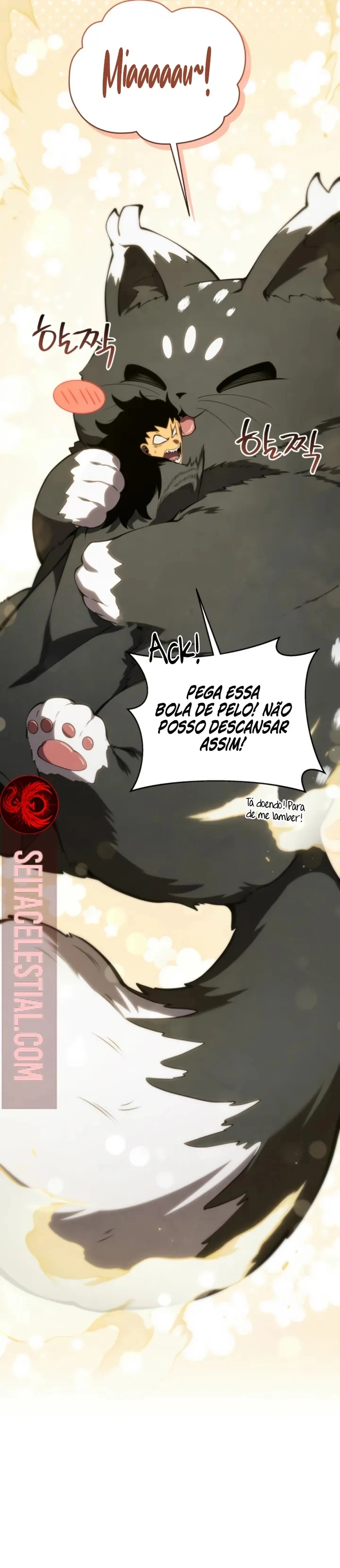 Página 33