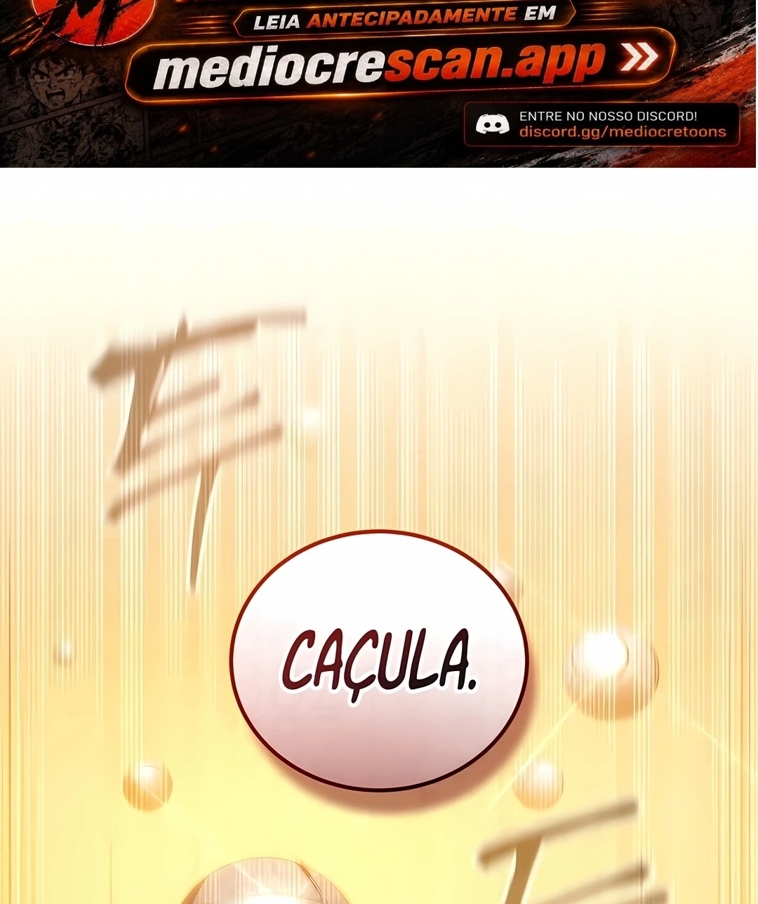 Página 113