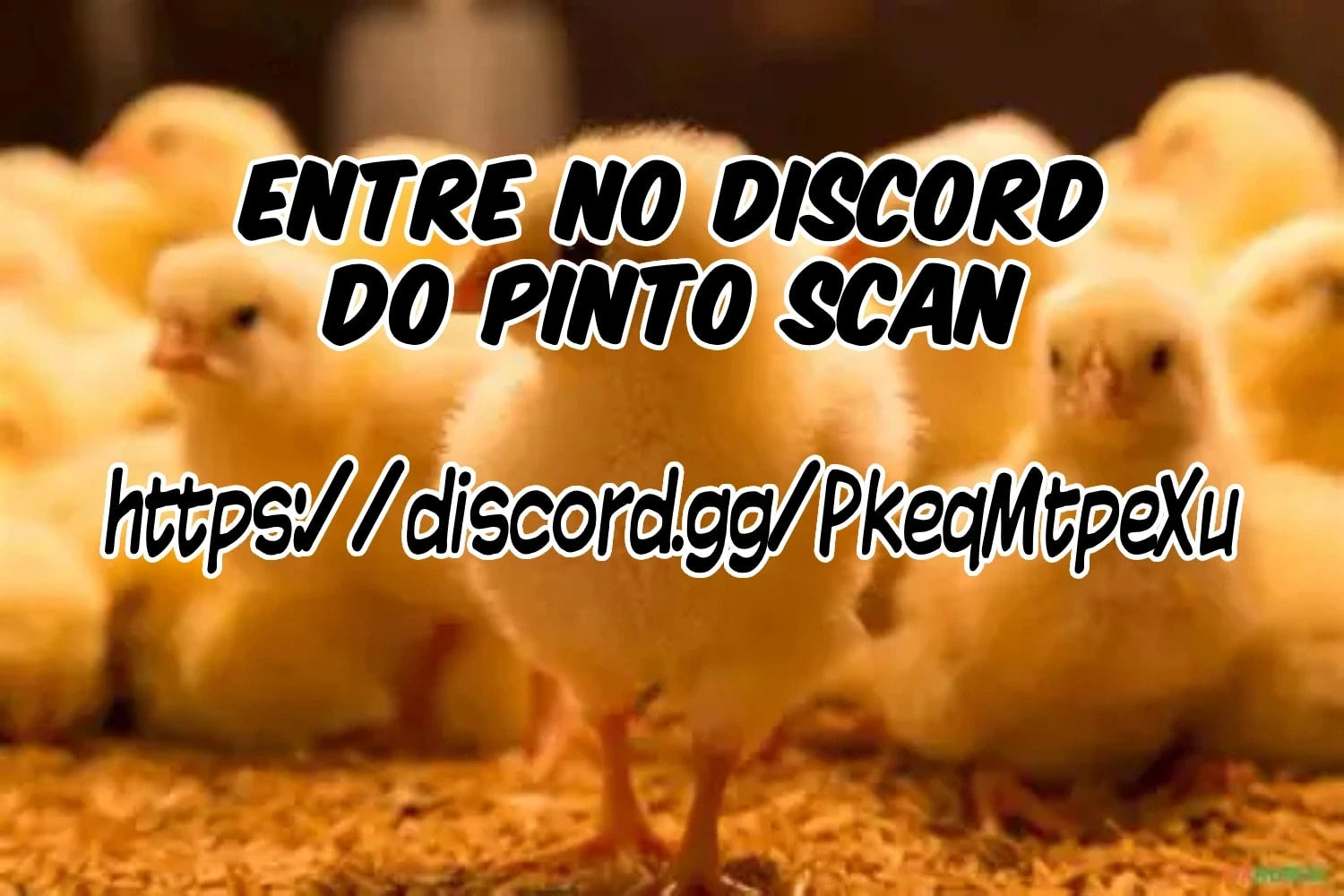Página 36