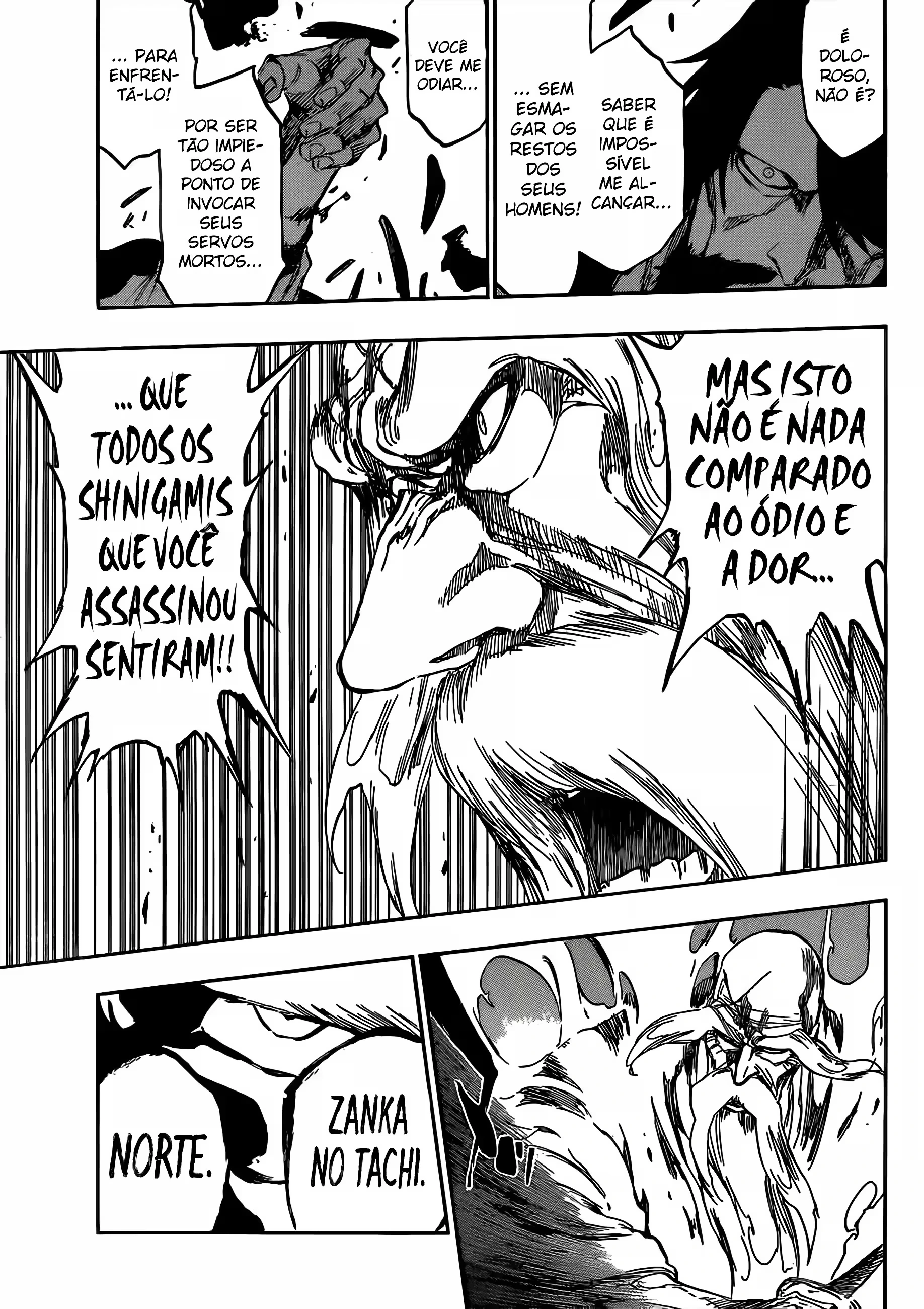 Página 13