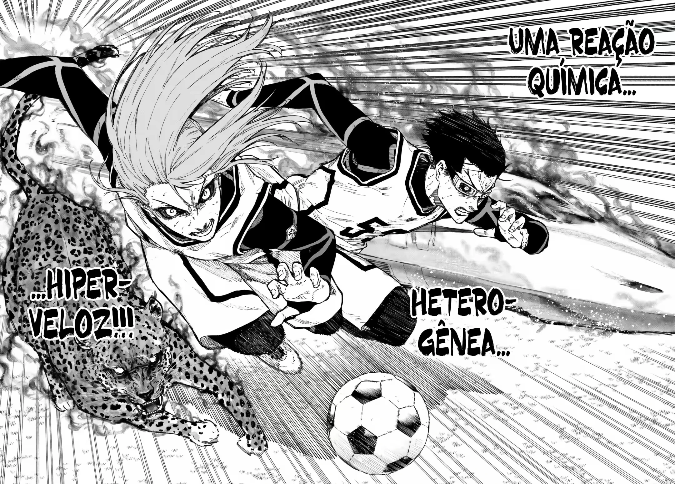 Página 13