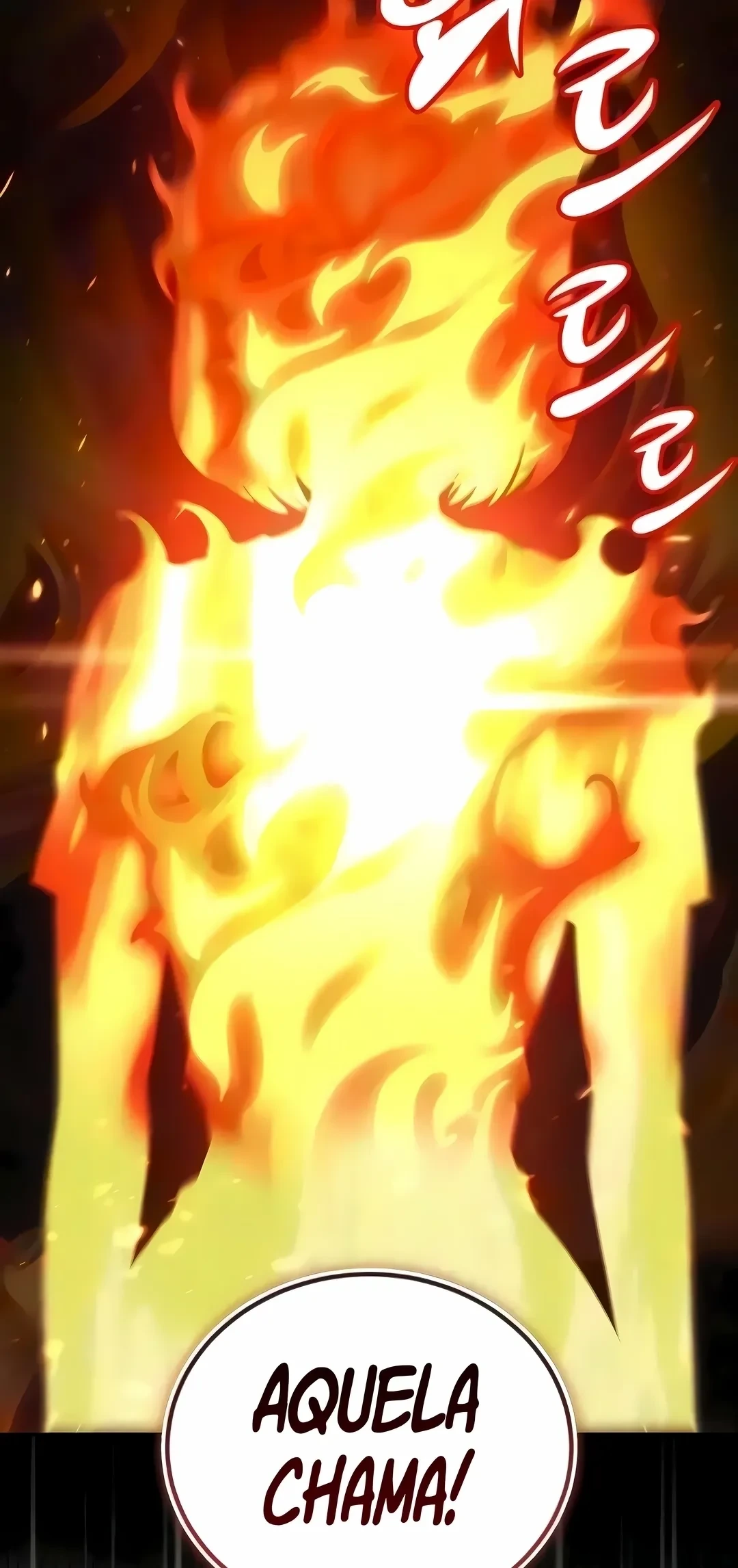 Página 41