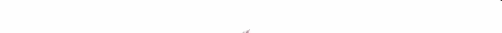 Página 53