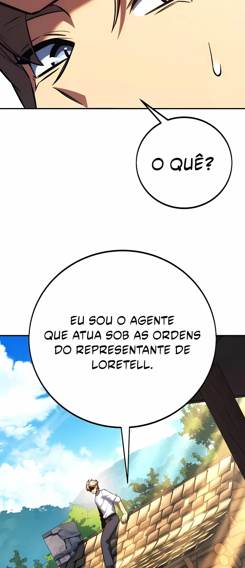 Página 113