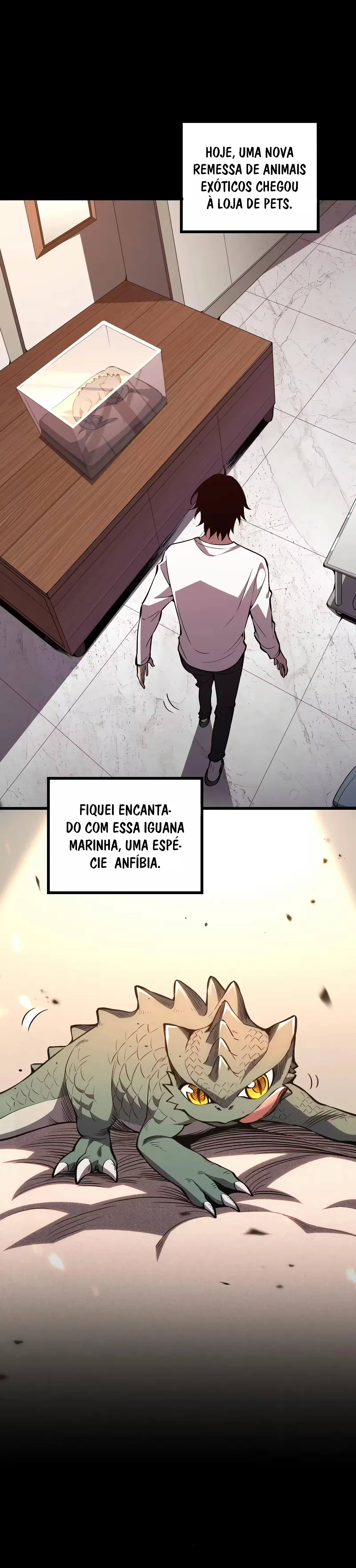 Página 13