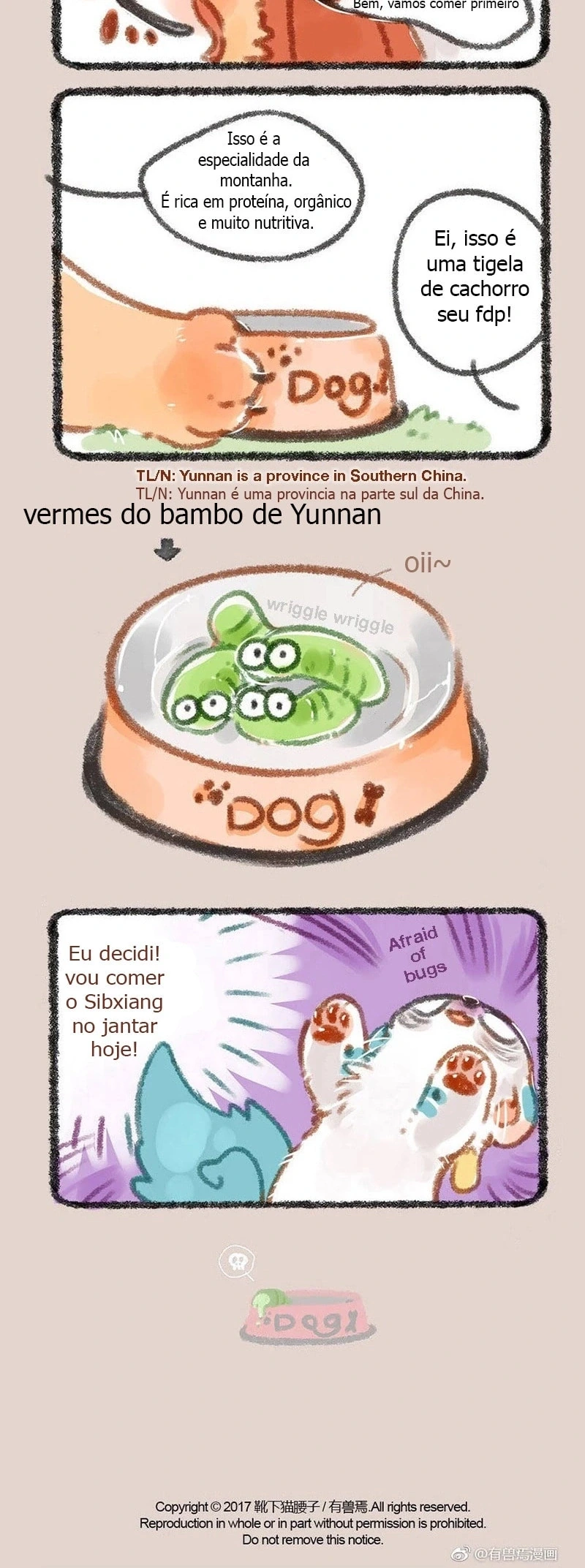 Página 5