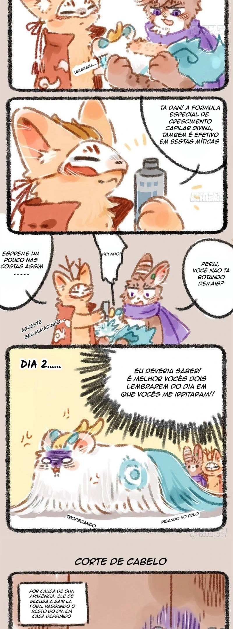 Página 2