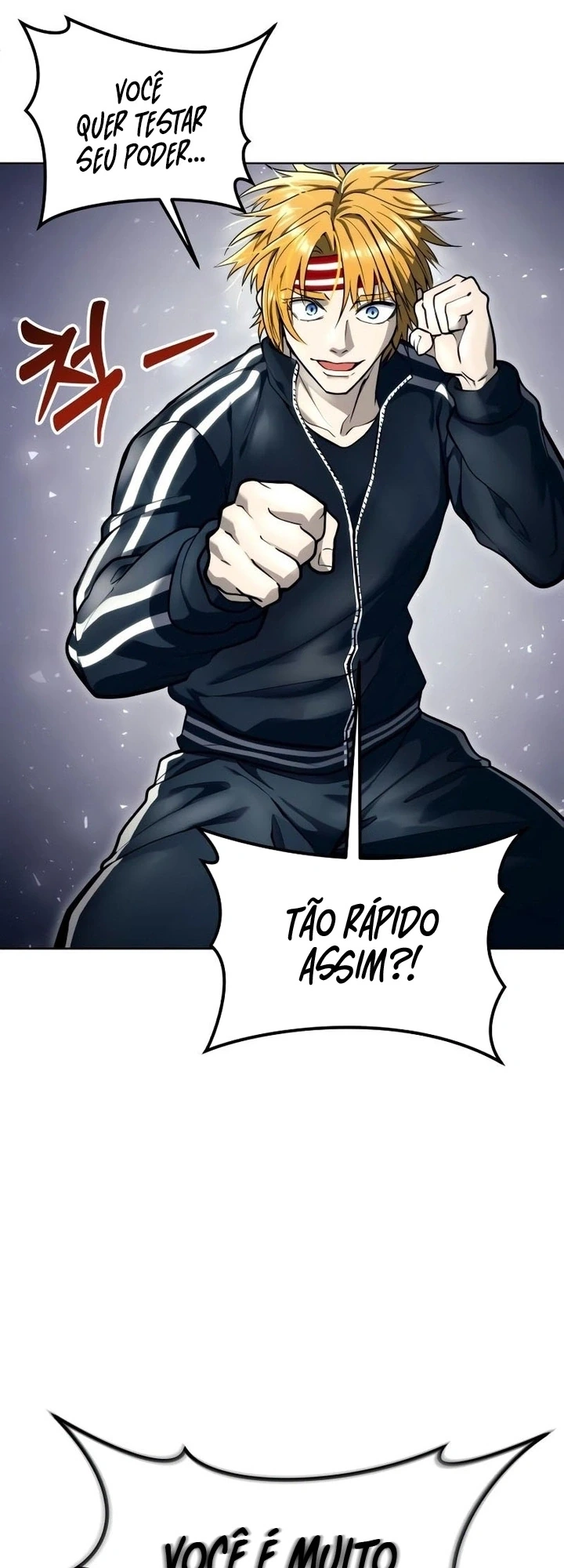 Página 100