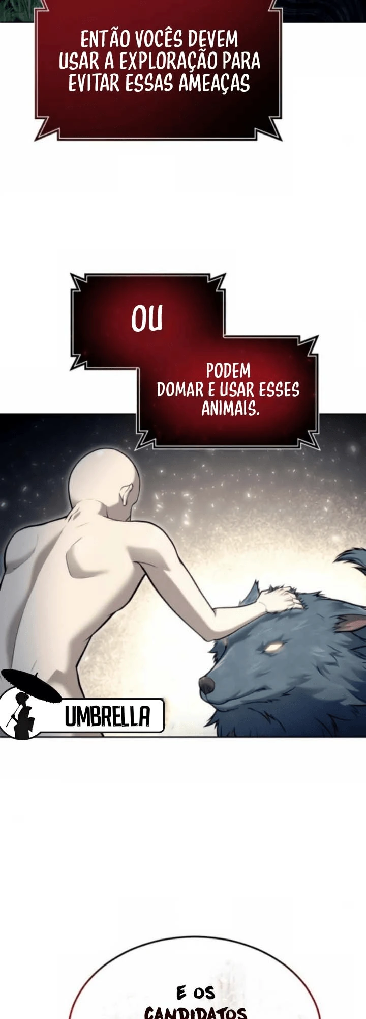 Página 31