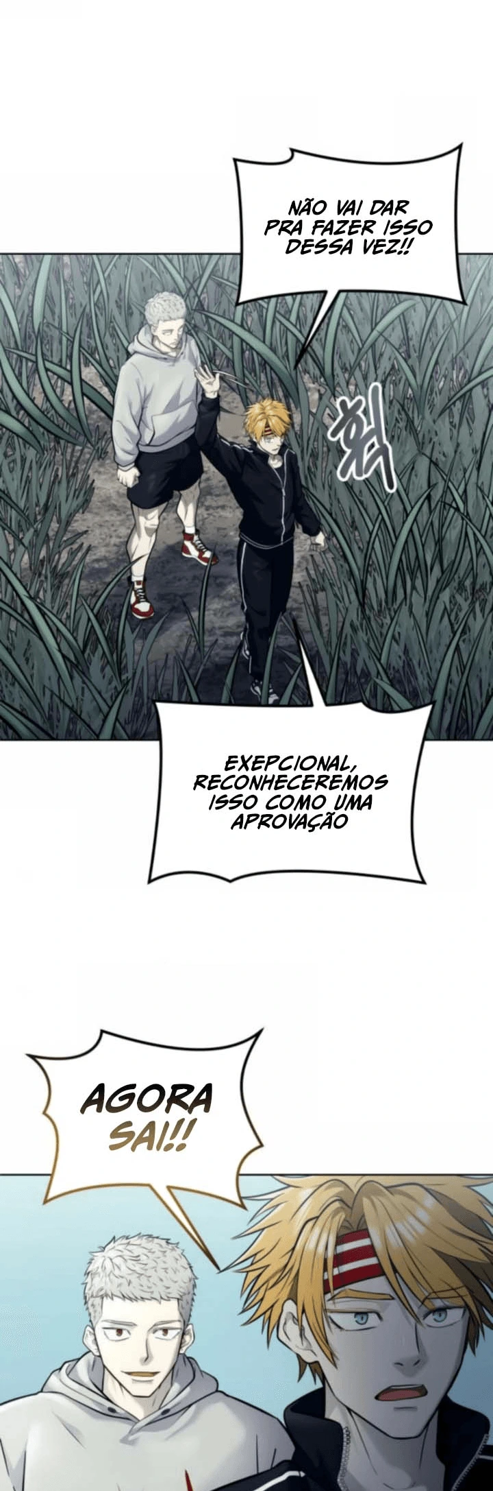 Página 103
