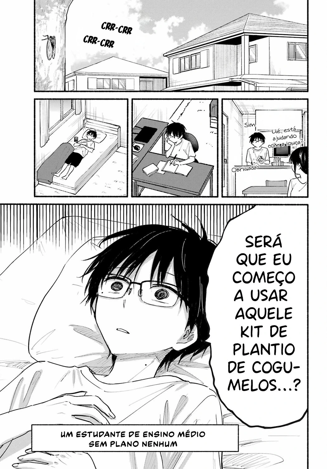 Página 6