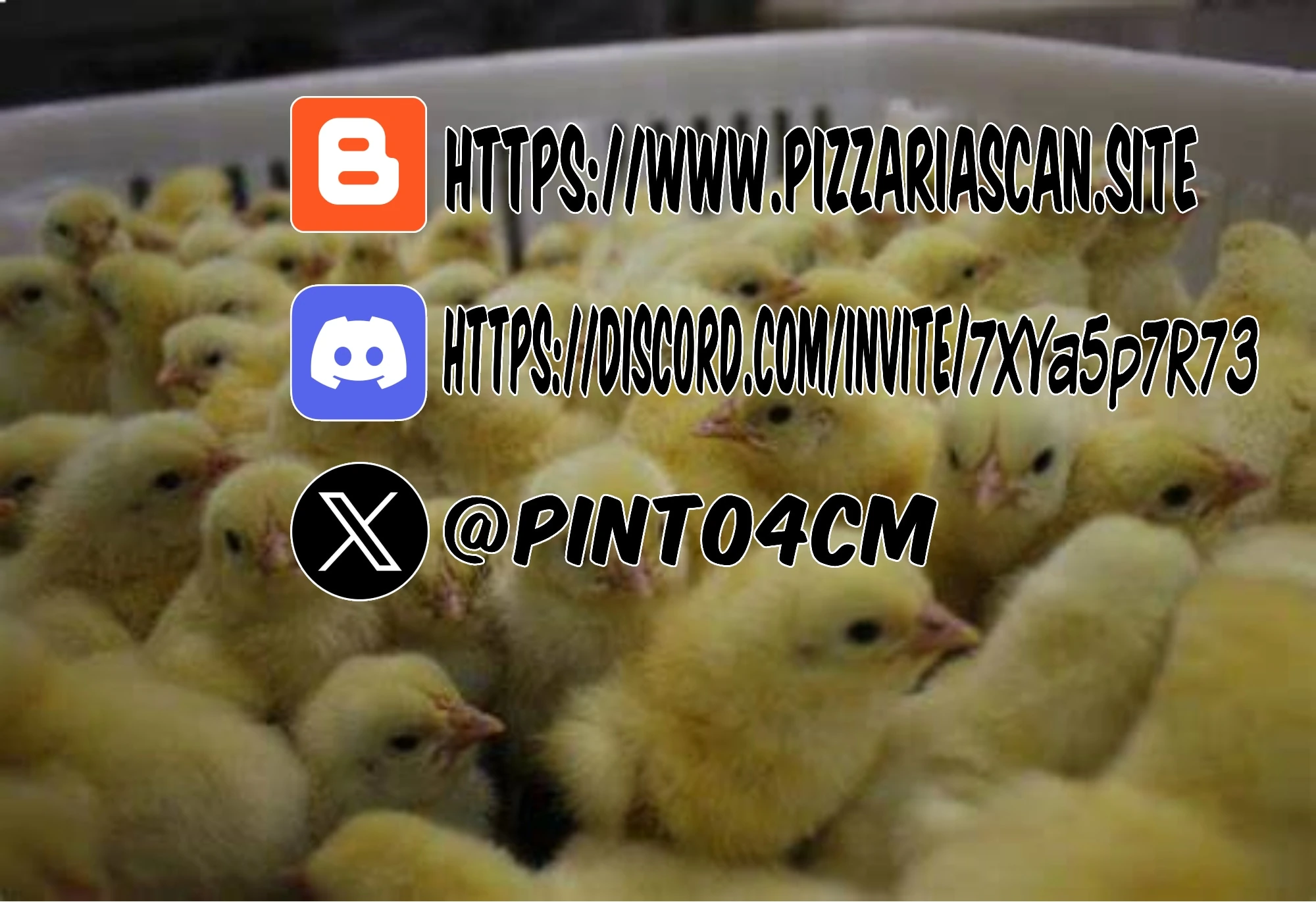 Página 36