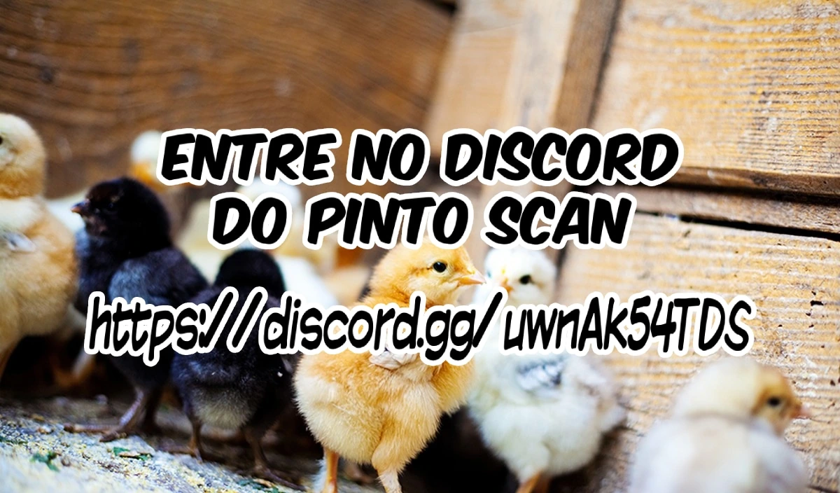 Página 32