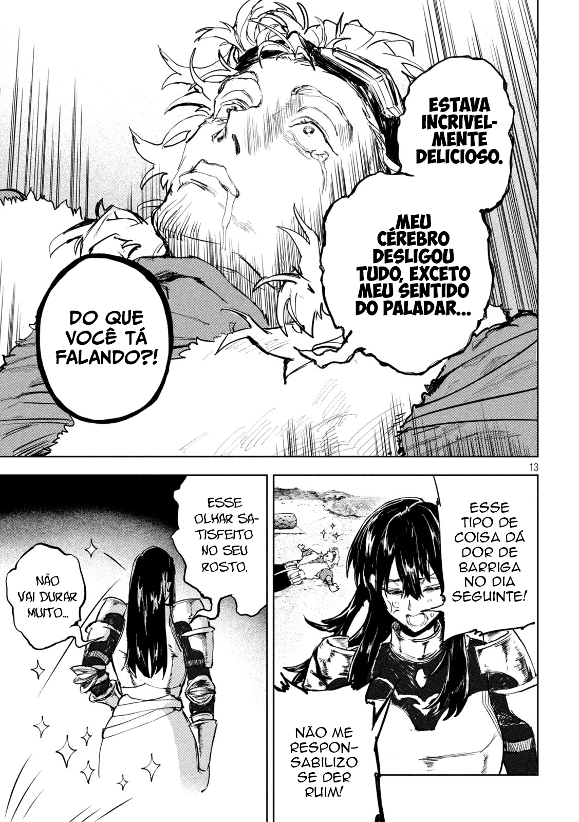 Página 13