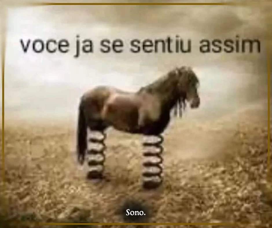 Página 41