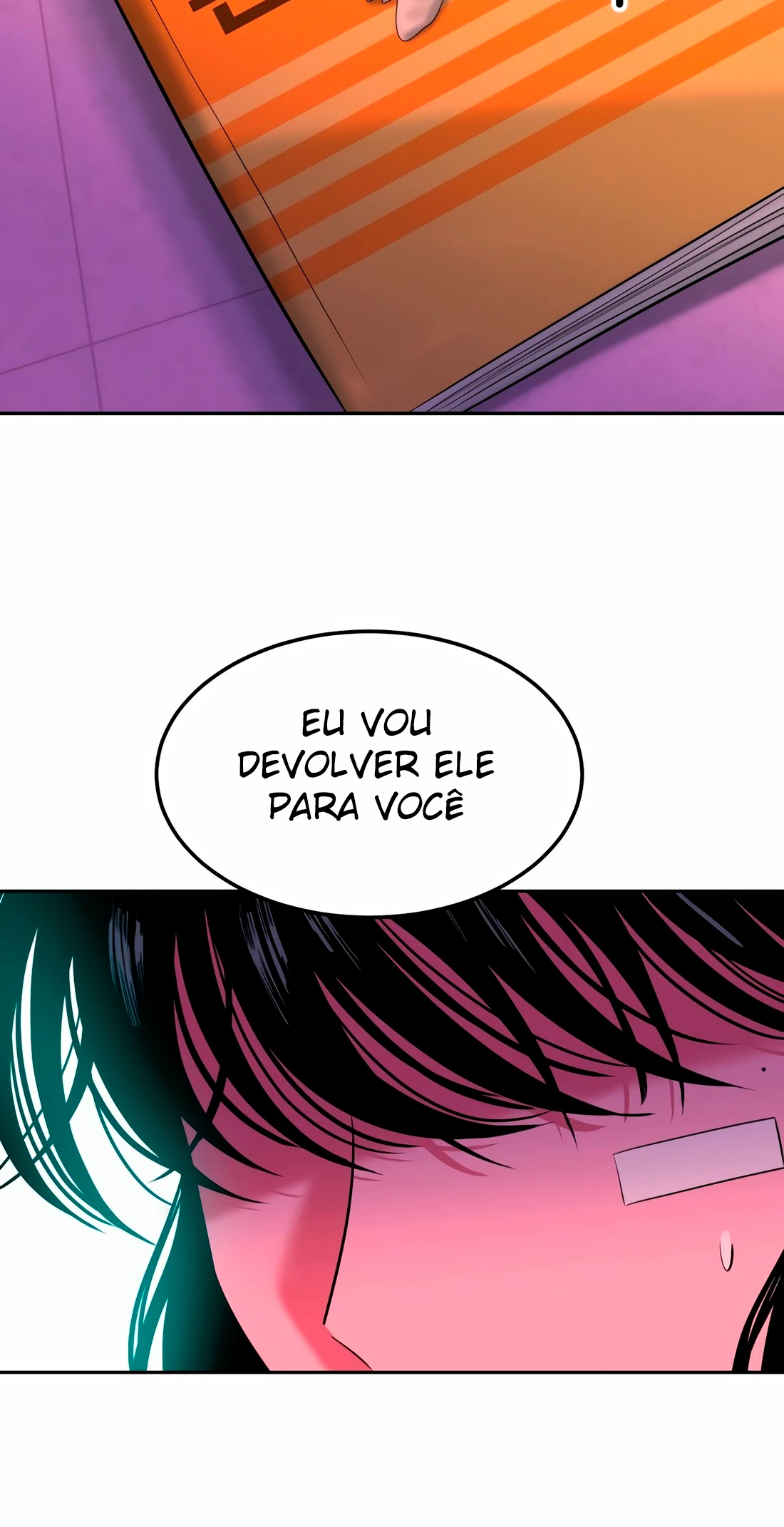 Página 101