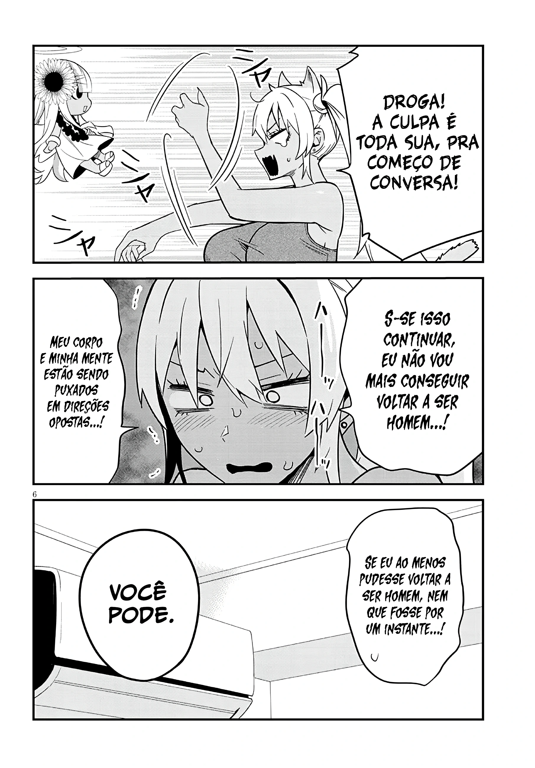 Página 6