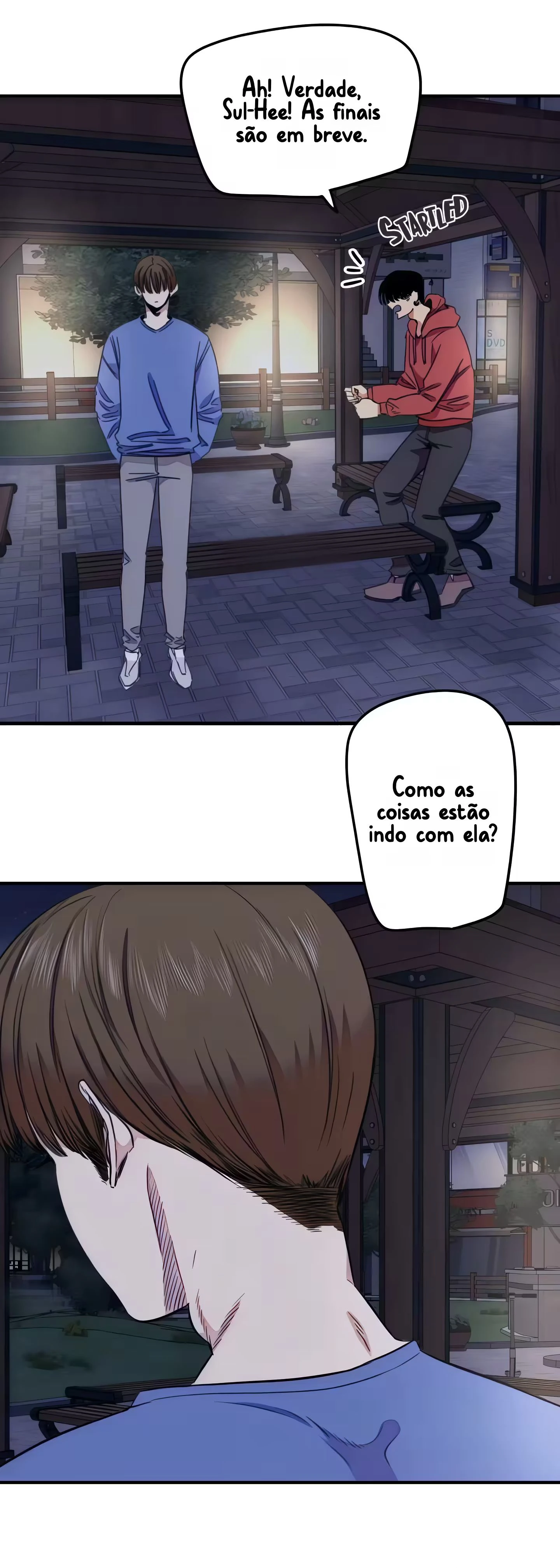 Página 20