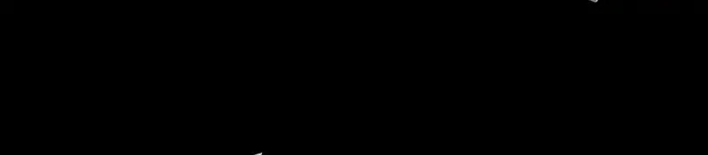 Página 79