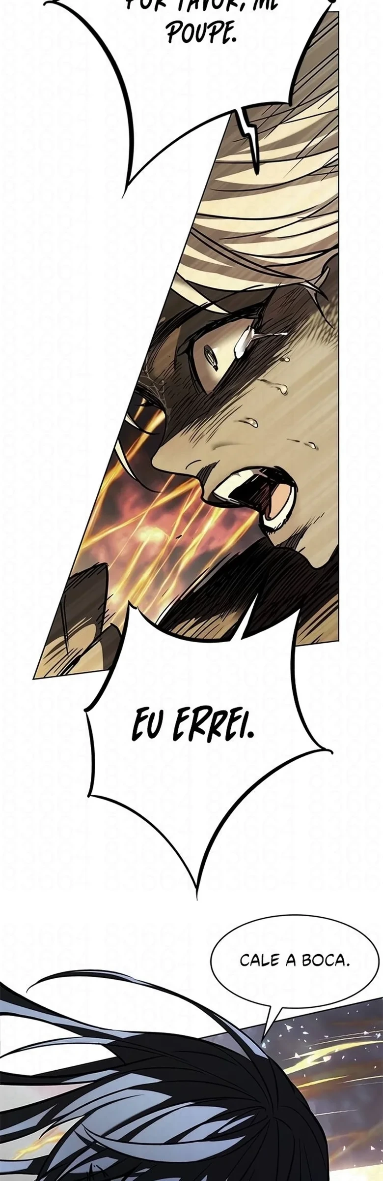 Página 41