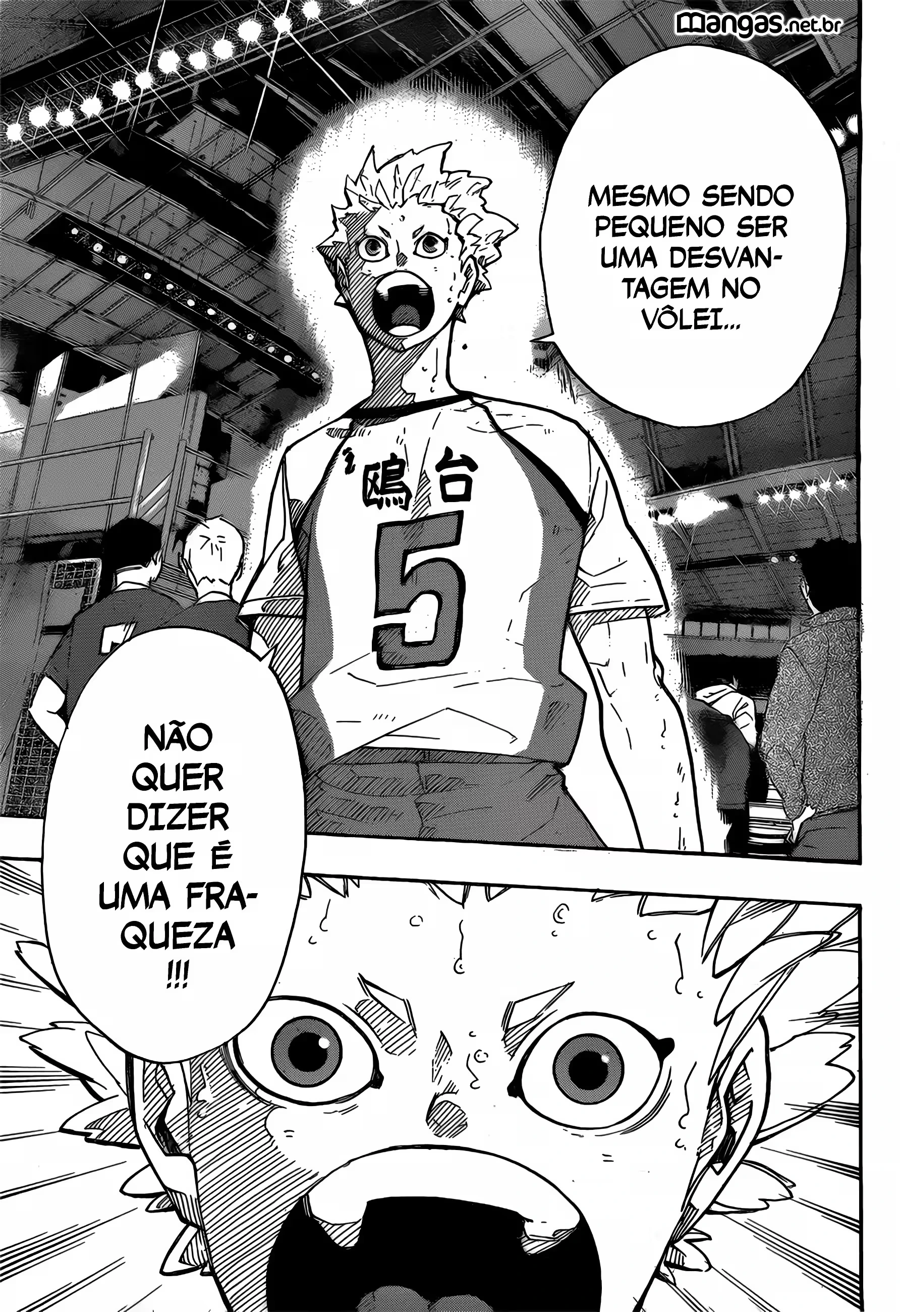 Página 15