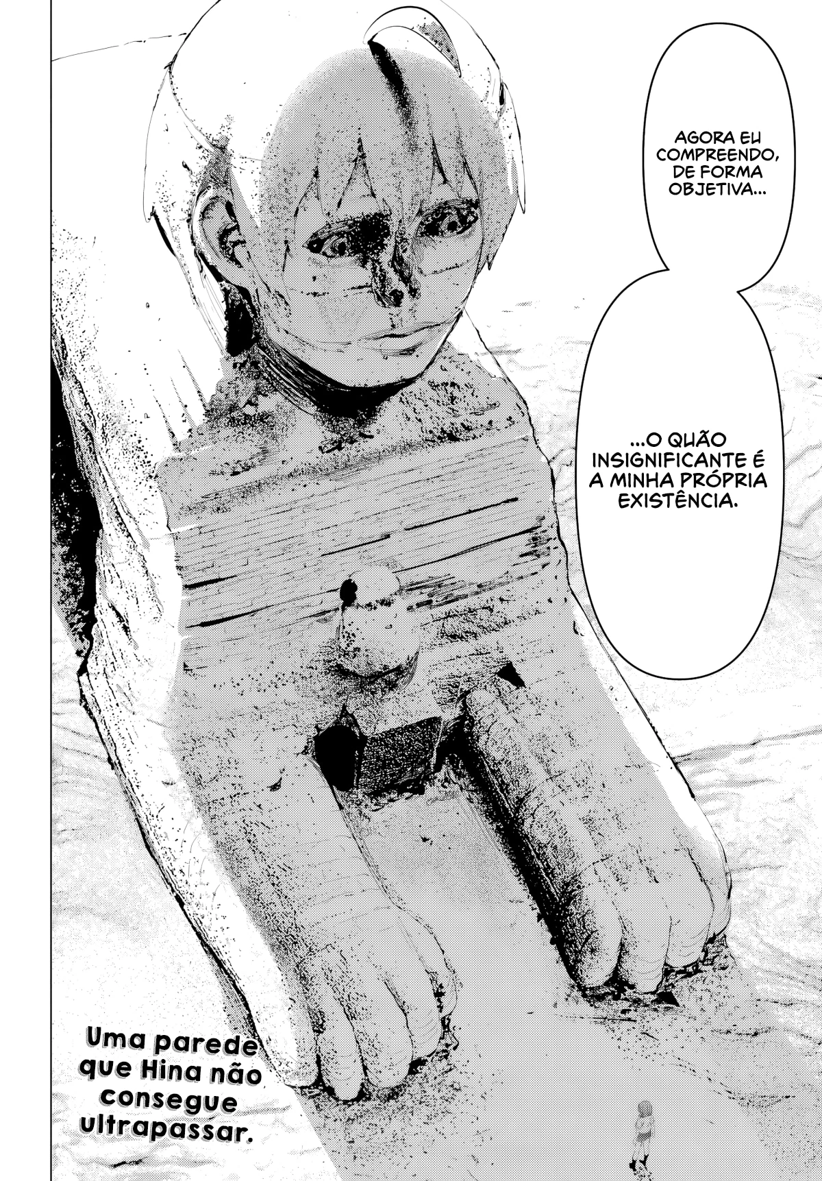 Página 17