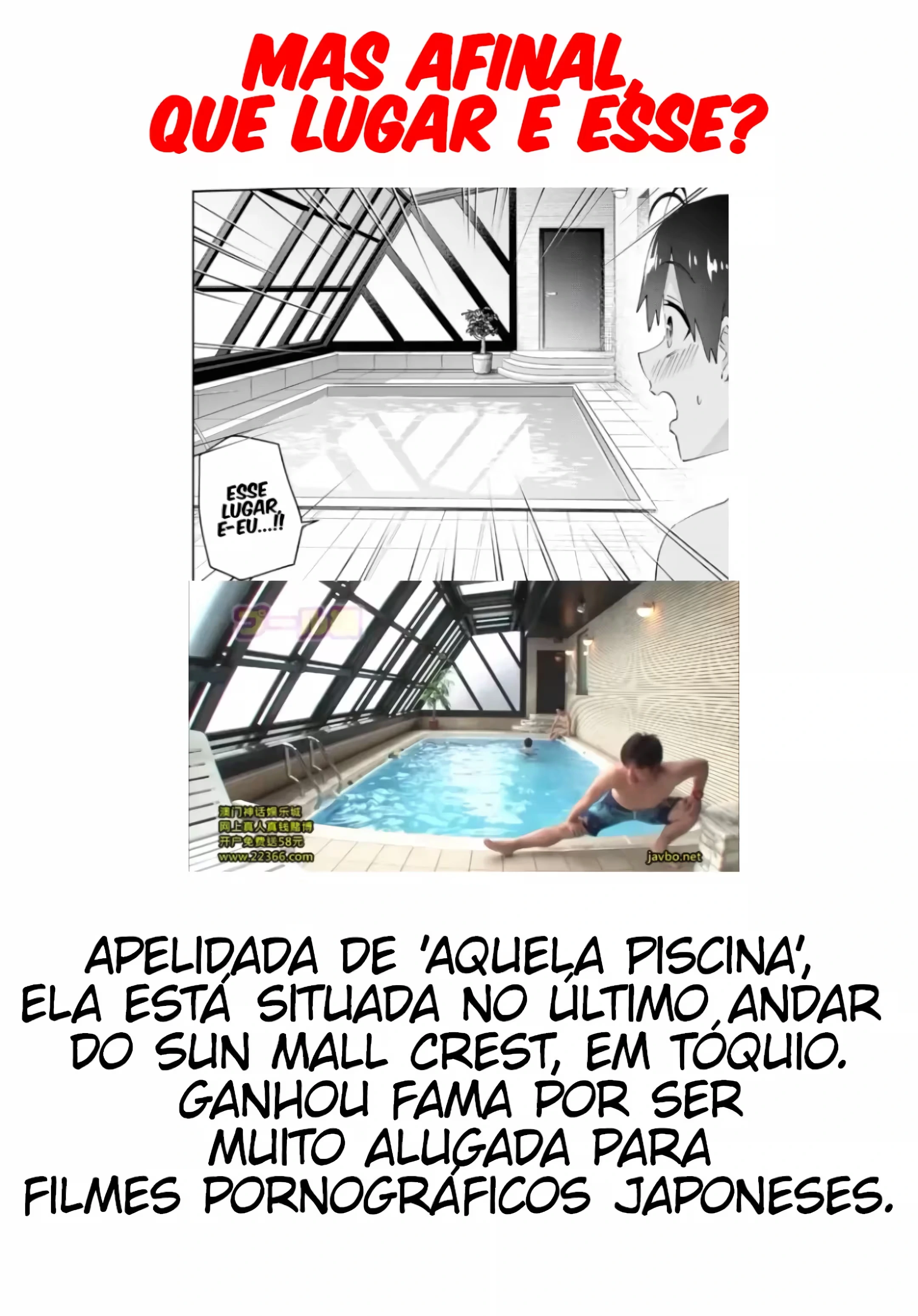 Página 24